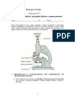 Protocolo P01 - MICROSCÓPIO