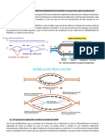 PREGUNTAS BIOLOGÍA MOLECULAR