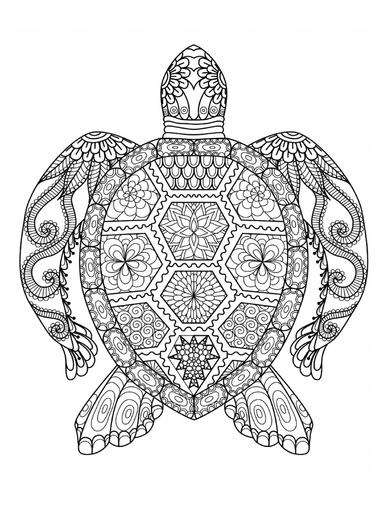 Colouring Adult | PDF