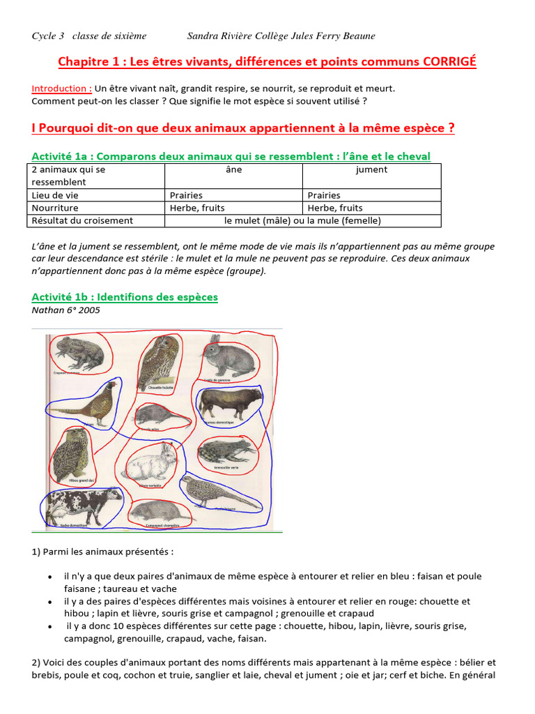Classification des êtres vivants en 6ème | PDF | Feuille | Plantes