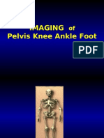 Pelvis Knee Ankle For Physiotherapist