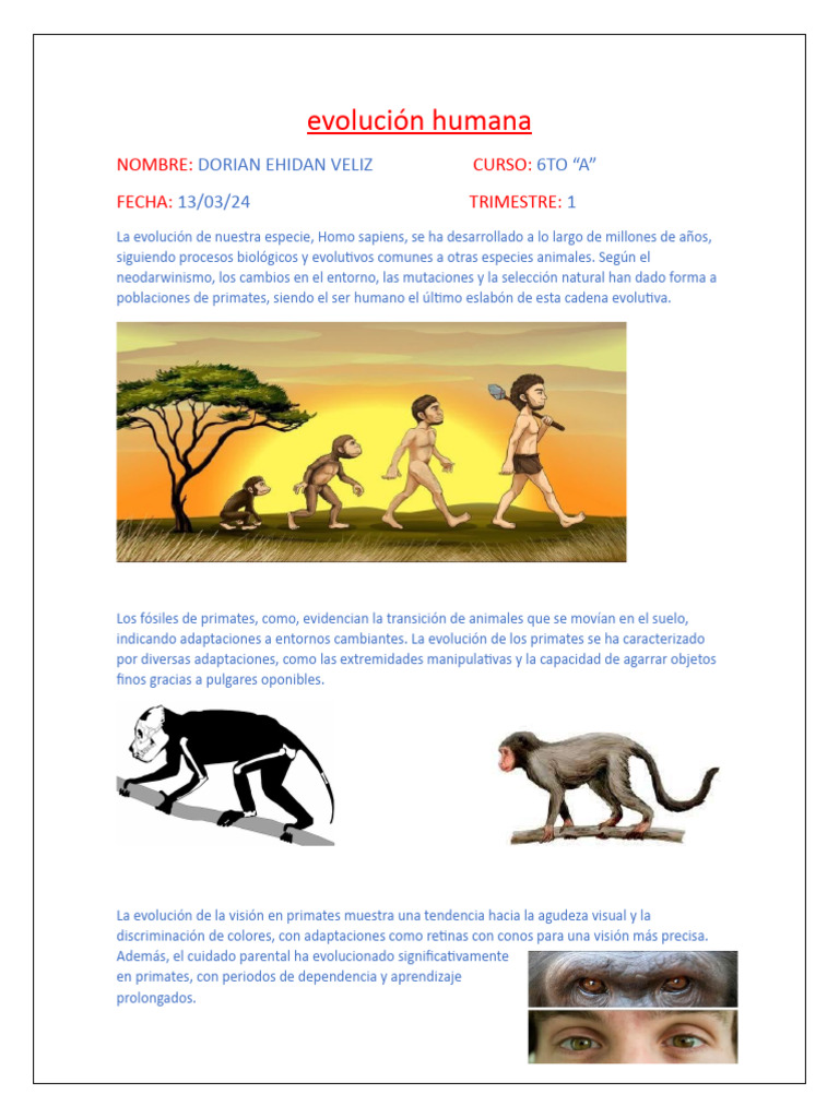 Evolución de los primates y humanos | PDF | Mono | Humano