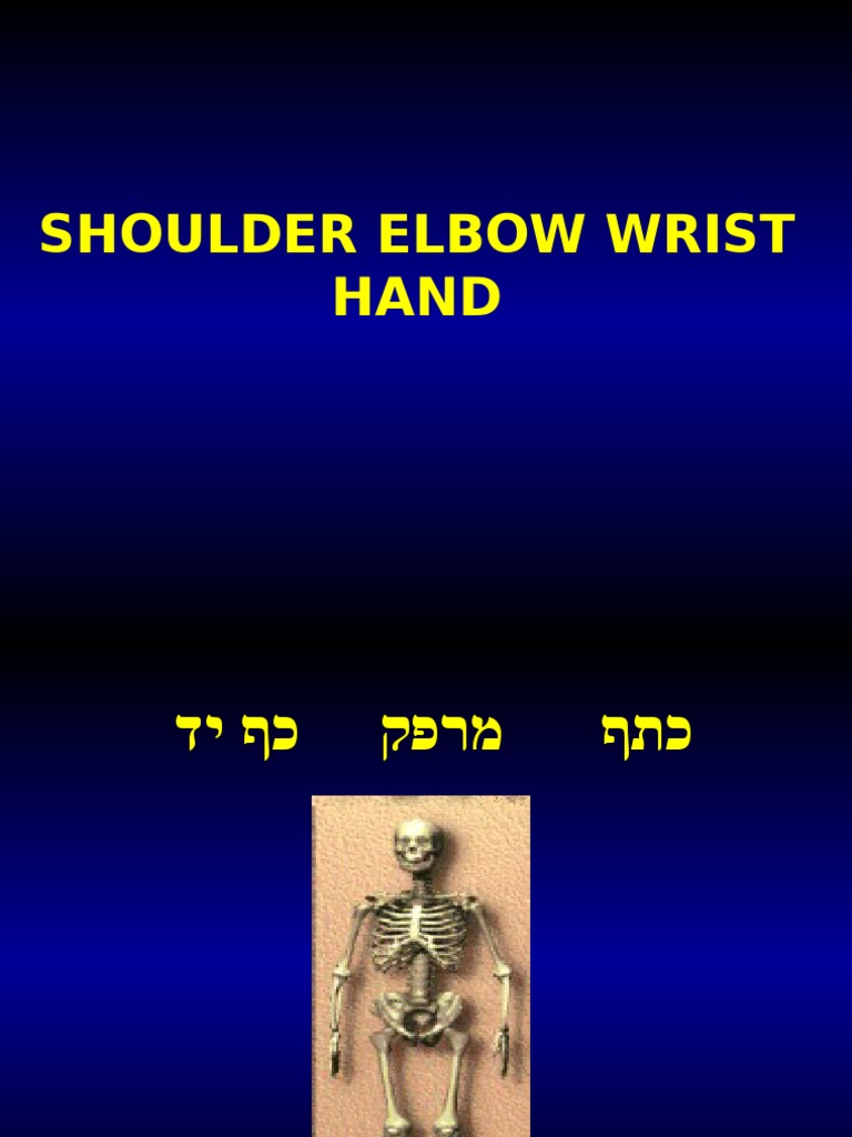 Shoulder Elbow Hand Shoulder Elbow