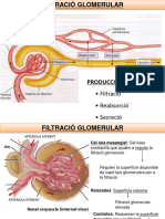 02 Reabsorció I Secreció 2022