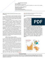 “Os impasses no processo de adoção no Brasil “,