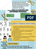 Análisis y Revisión Del Cariotipo Humano - 20240310 - 122140 - 0000
