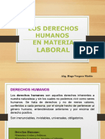 Los DH en El Derecho Laboral. Versión 2009.