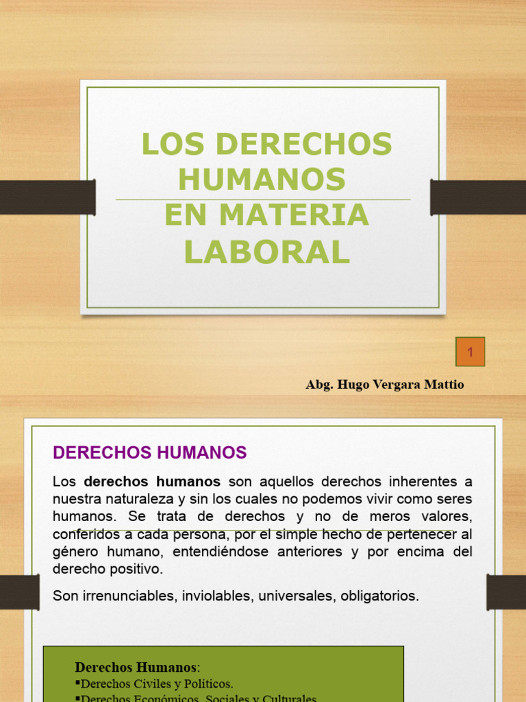 Derechos Laborales y Humanos | PDF | Derecho laboral | Organización ...