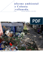 Informe Ambiental de Colonia Avellanedatp2