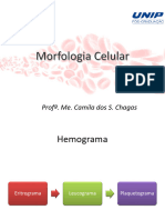 Aula 2 - Morfologia Celular