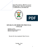 Derecho Procesal Civil