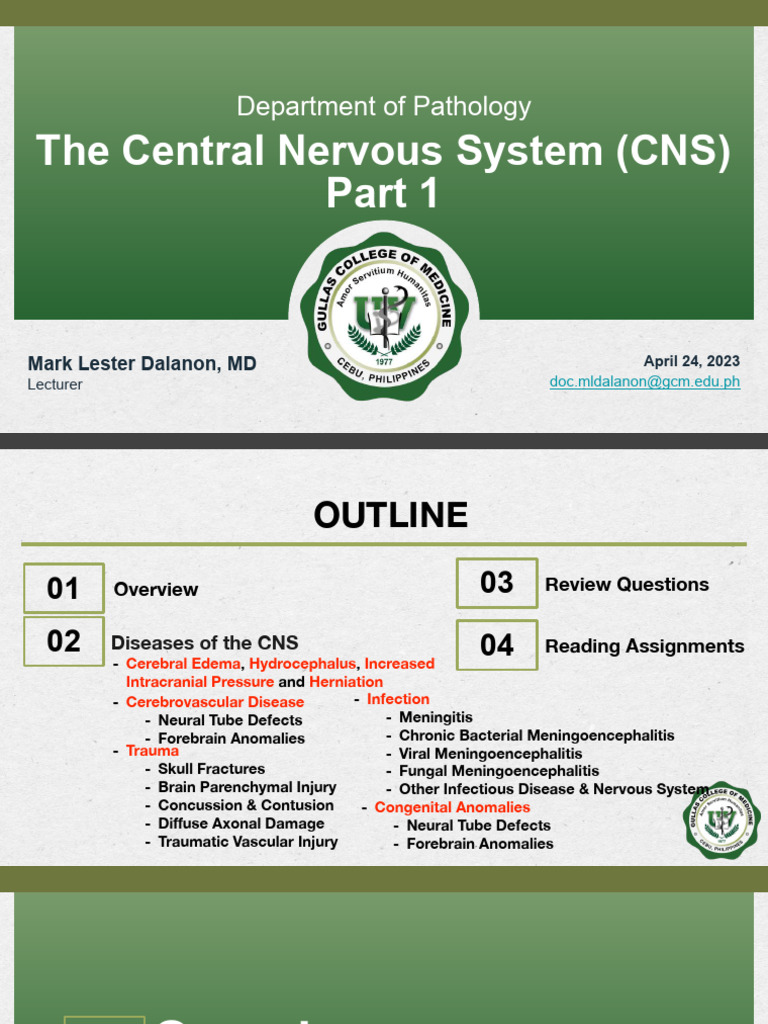 The Central Nervous System Part 1 | PDF | Meningitis | Central Nervous ...