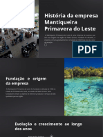 Historia-da-empresa-Mantiqueira-Primavera-do-Leste (1) .PDF - 20240415 - 094318 - 0000