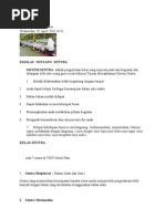 Download Sentra tk by Jamilah Syairoh SN73187581 doc pdf