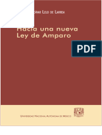 Hacia una nueva ley de amparo ( PDFDrive ) (1)