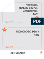 Planificación Grupos Ambientales CLEM 2020