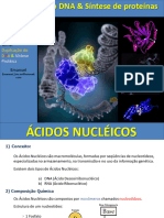 Ácidos Nucleicos - Duplicação Do DNA e Síntese Protéica-1