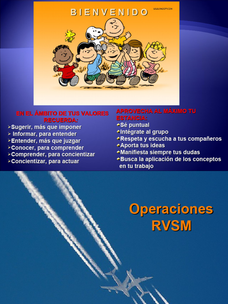 RVSM Aer - Esp.2009 | PDF | Aeronave militar | Altímetro
