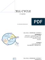 Cell Cycle 4