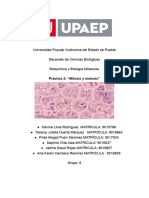 Mitosis y Meiosis Practica 2