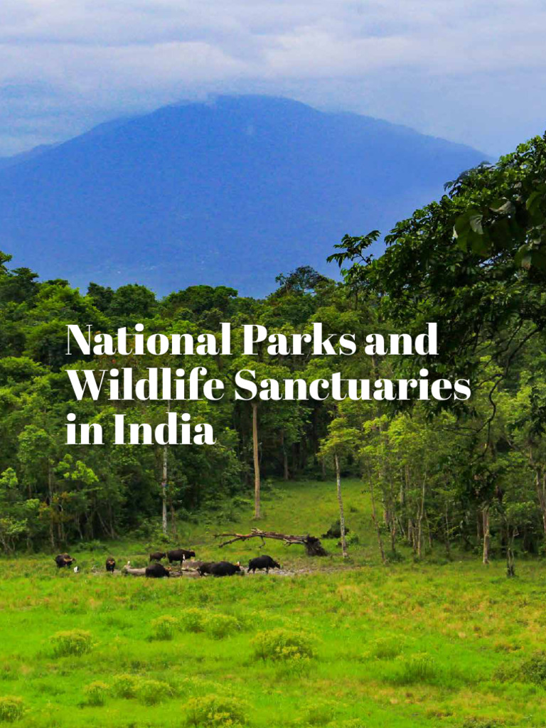 Overview of India's Wildlife Sanctuaries | PDF | Protected Area ...