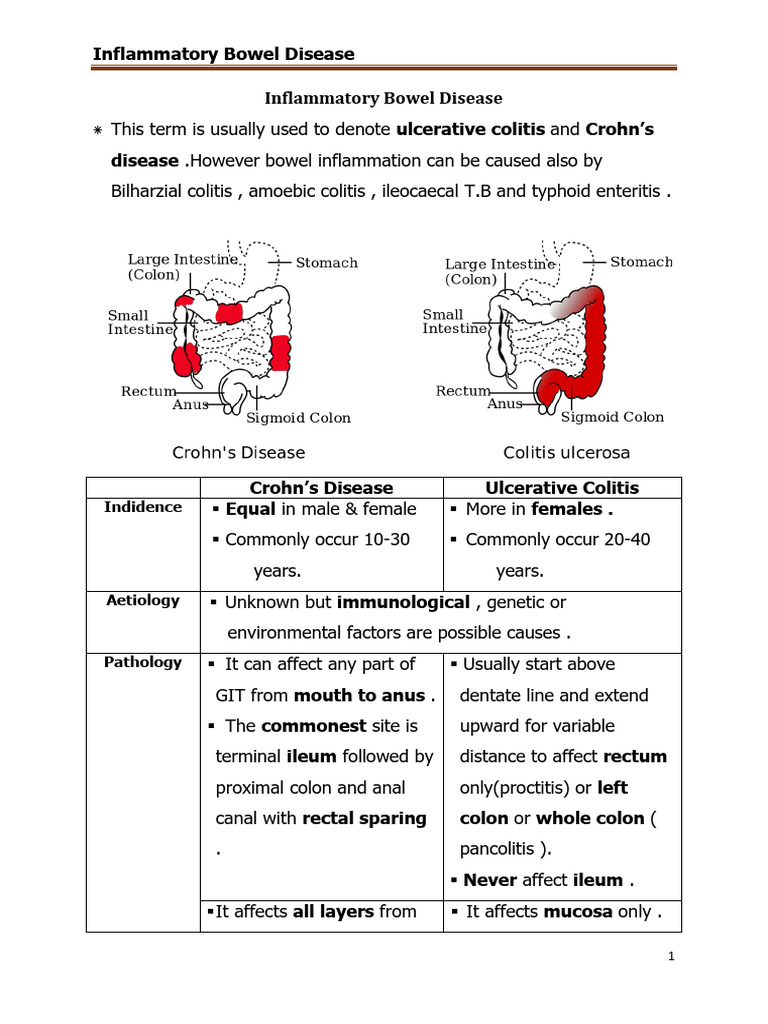 Inflammatory Bowel Disease | PDF | Ulcerative Colitis | Inflammatory ...