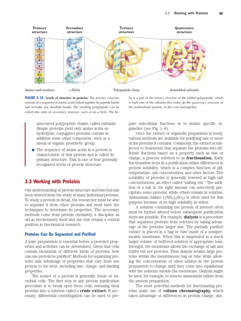 Protein Purification Techniques Overview | PDF | Protein Purification ...