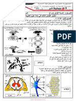 Dzexams 1as Sciences 1256100