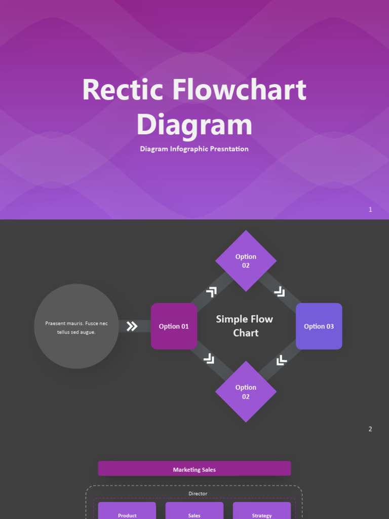 Rectic flowchart diagram infographic dark pdf business process