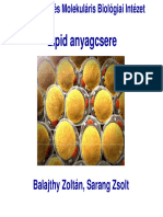 Lipid Anyagcsere