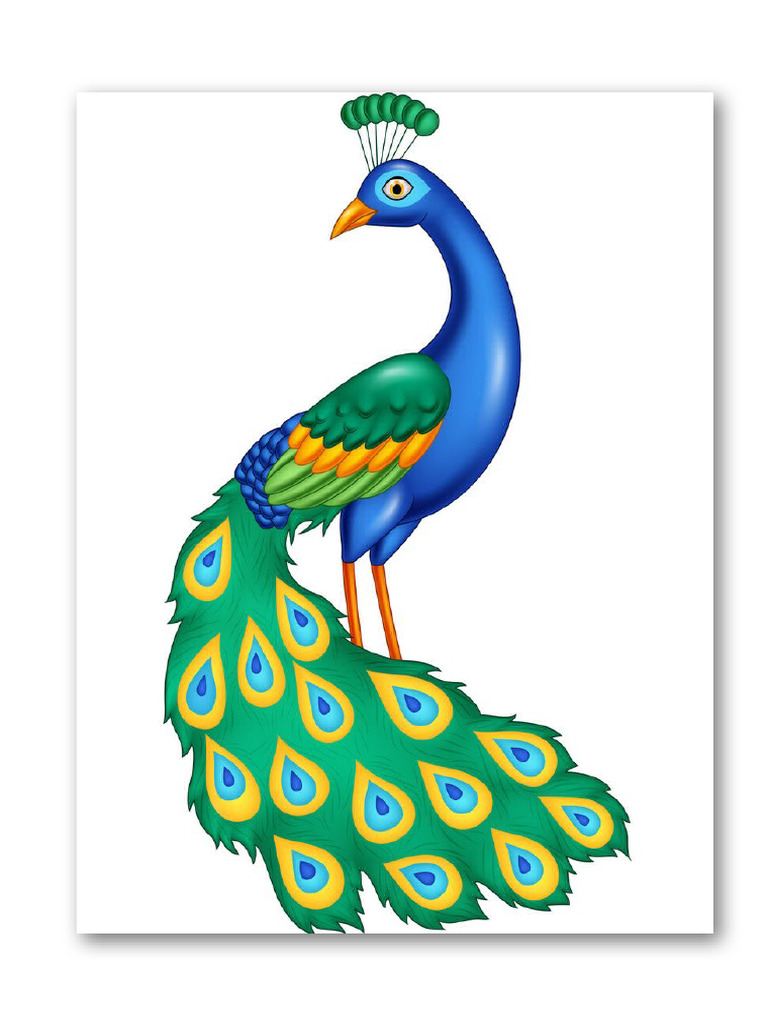 Peacock Set | PDF