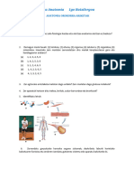 Anatomia Orokorra Ariketak