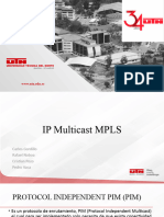 IP Multicast