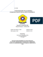 Diagnosis Holistik - Puskesmas Padang Selasa (Final) (Revised)