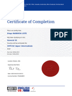 LSI Certificate