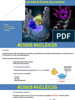 Acidos Nucleicos - Duplicacao Do DNA e Sintese Proteica