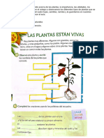 Las Plantas