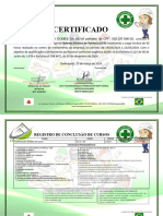 Certificado NR 10 - SEP - Matriz