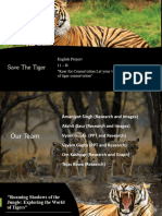 Save the Tiger_Final Project