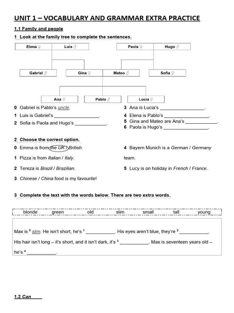 Vocabulary and Grammar Practice Guide | PDF | Linguistics