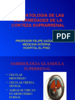 patologia suprarrenal