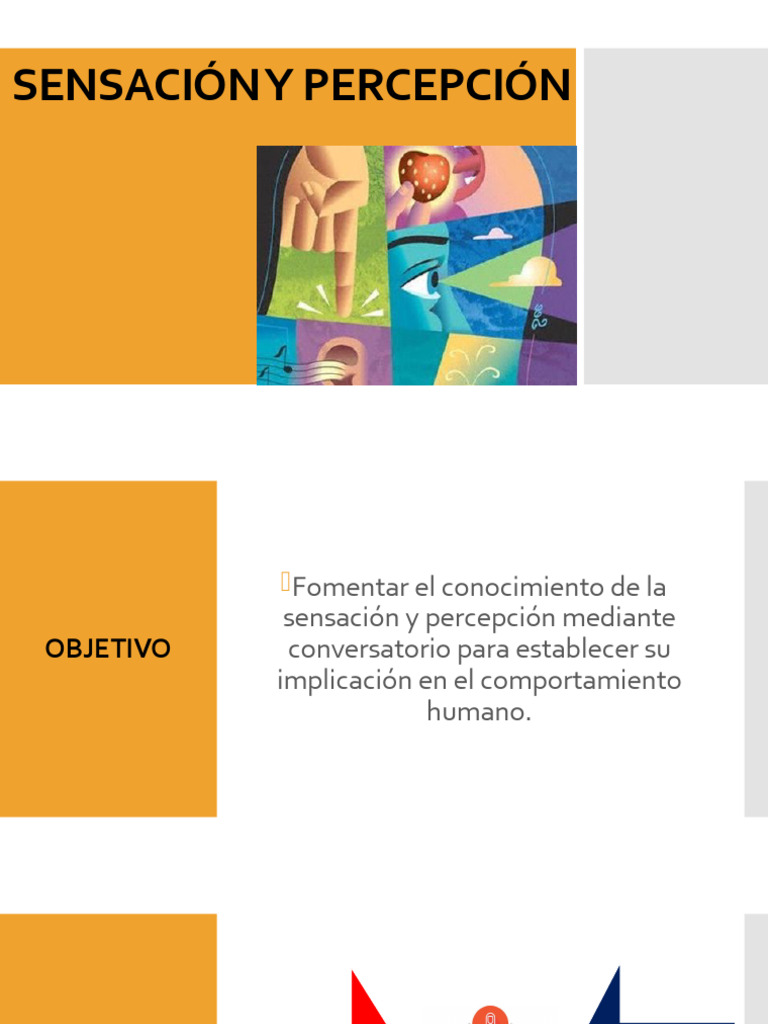 Sensación y Percepción en el Comportamiento | PDF | Sentidos | Percepción