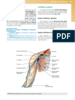 Anatomia Clinica Pro 2a Edicion (3)