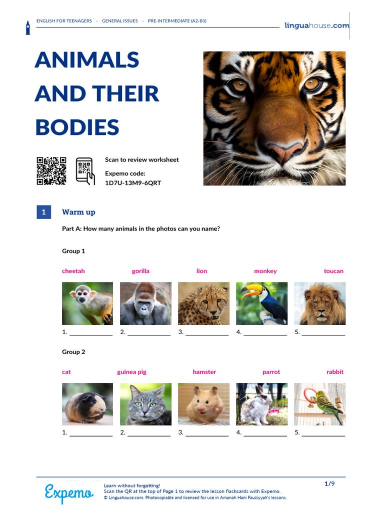 Animals and Their Bodies British English Student | PDF | Marsupials ...
