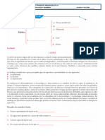 Sesion #02 Tejido Epitelial y Conectivo (Ficha)