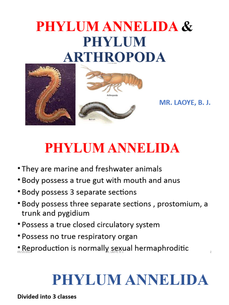 Annelida and Arthropoda Overview in Tamil | PDF | Zoology | Arthropods