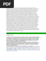Download Playas rocosas by claudiaargotirios SN73210769 doc pdf