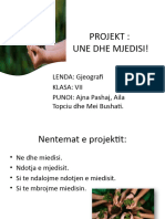 PROJEKT Gjeo