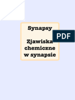 Synapsy Zjawiska Chemiczne W Synapsie