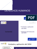 Teoría e Interpretación de Los Derechos Humanos